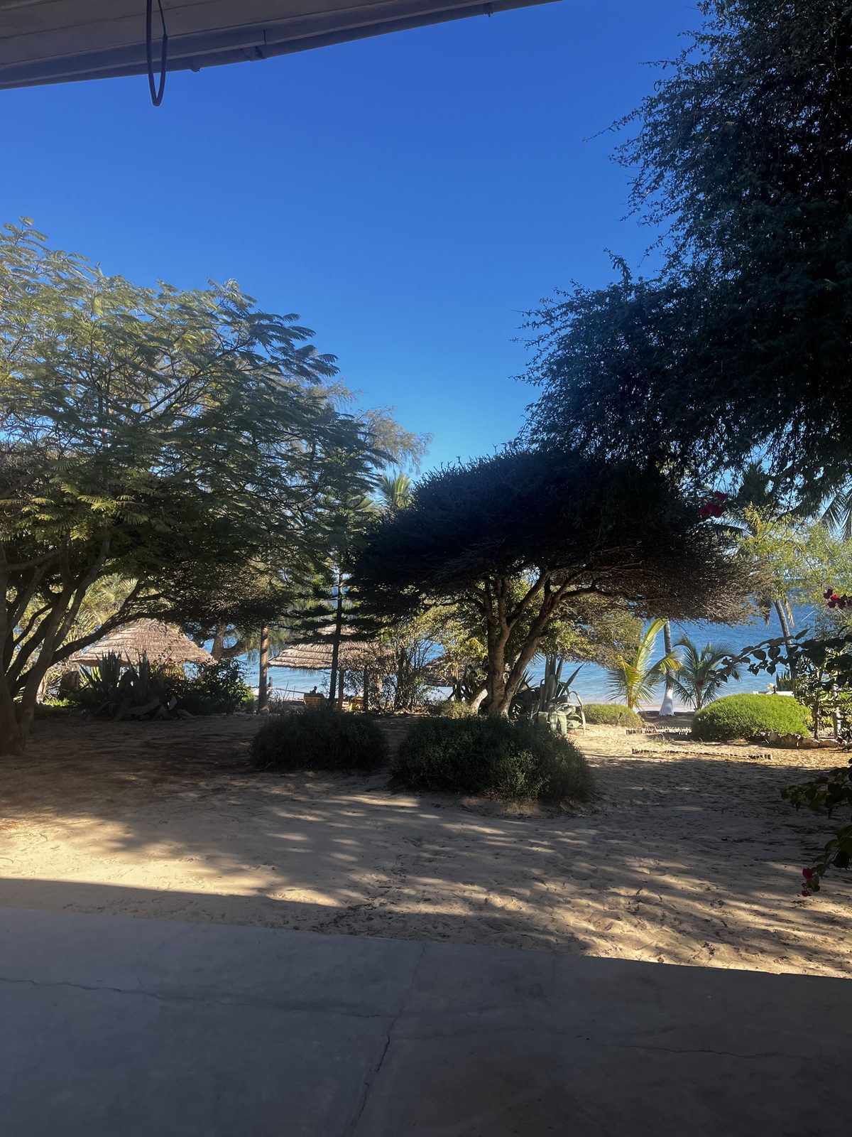Jardin de l'Isle