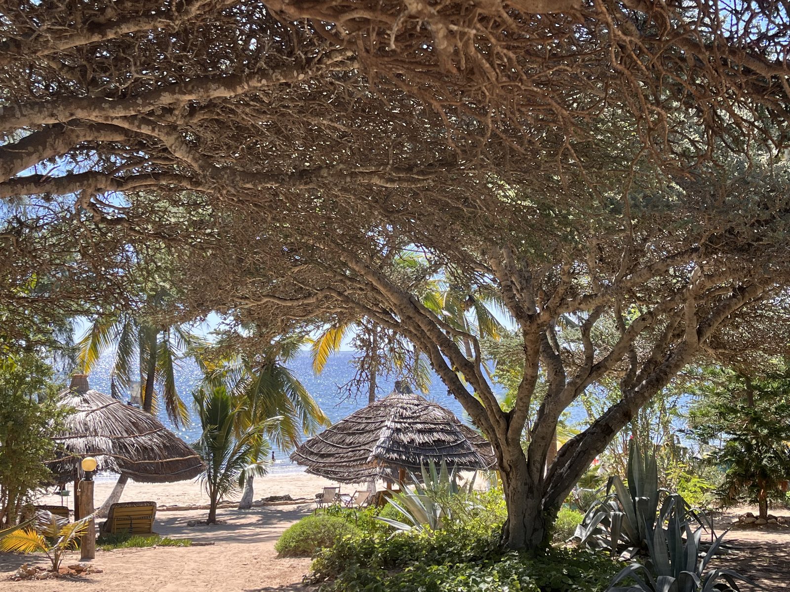 Jardin de l'Isle
