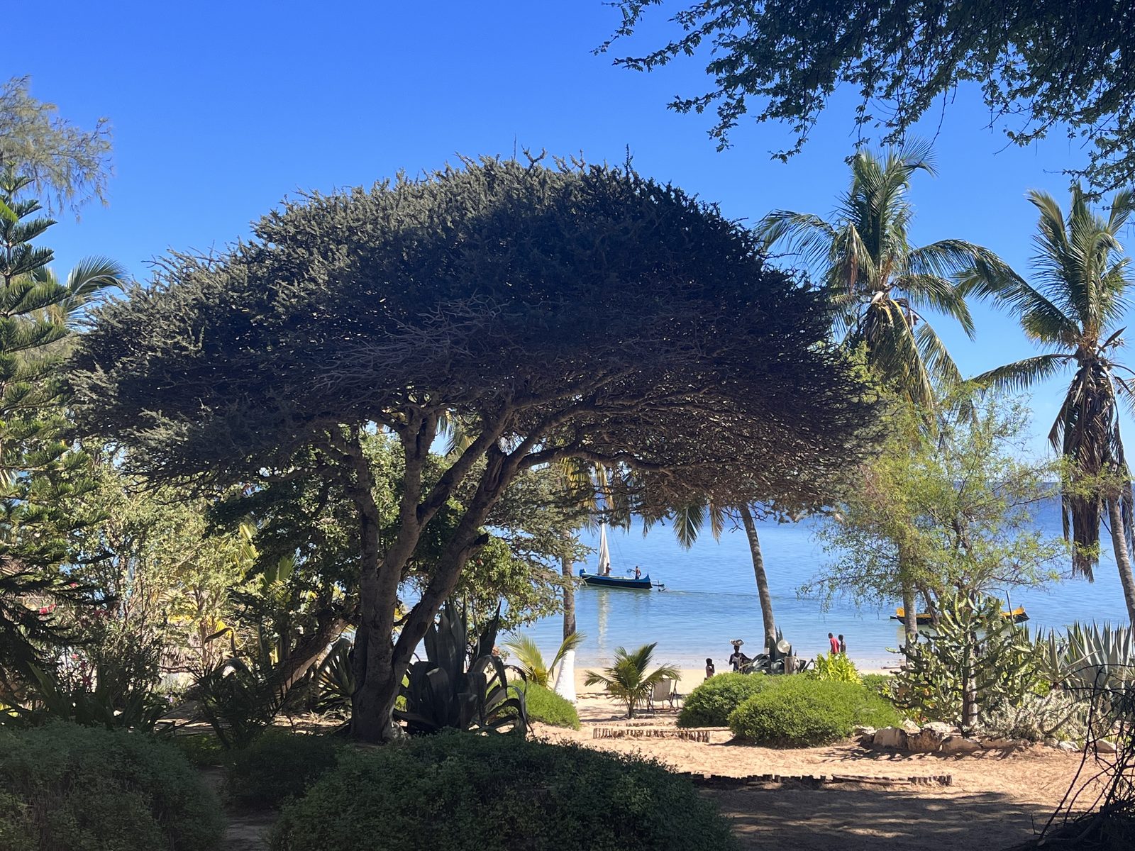 Jardin de l'Isle